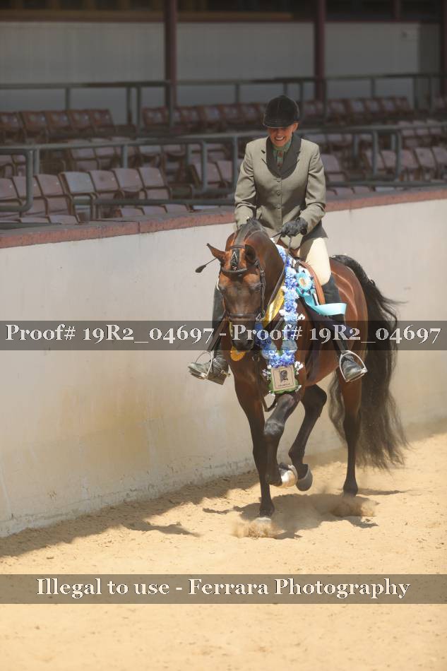 Proof 19R2_04697
