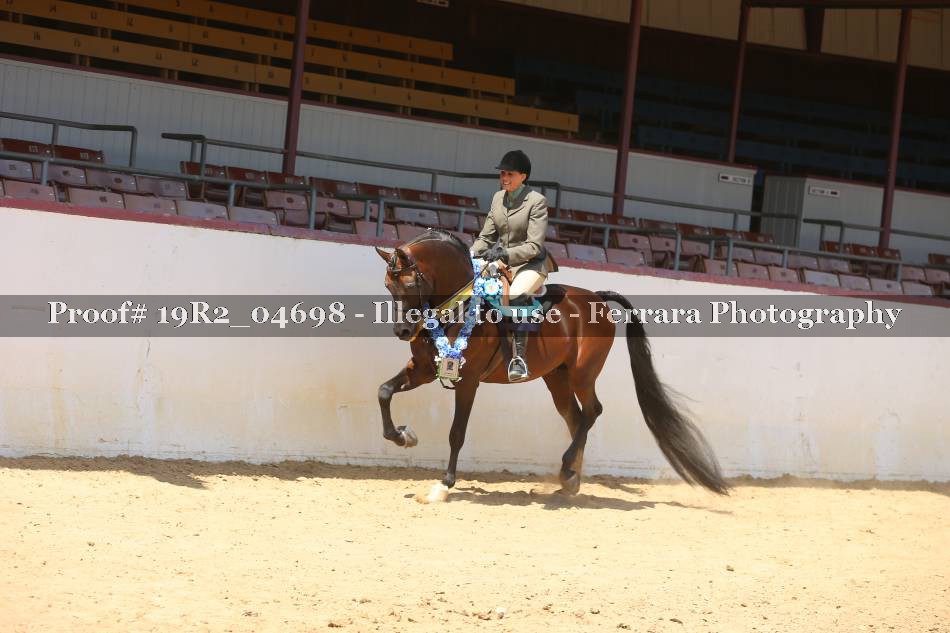 Proof 19R2_04698