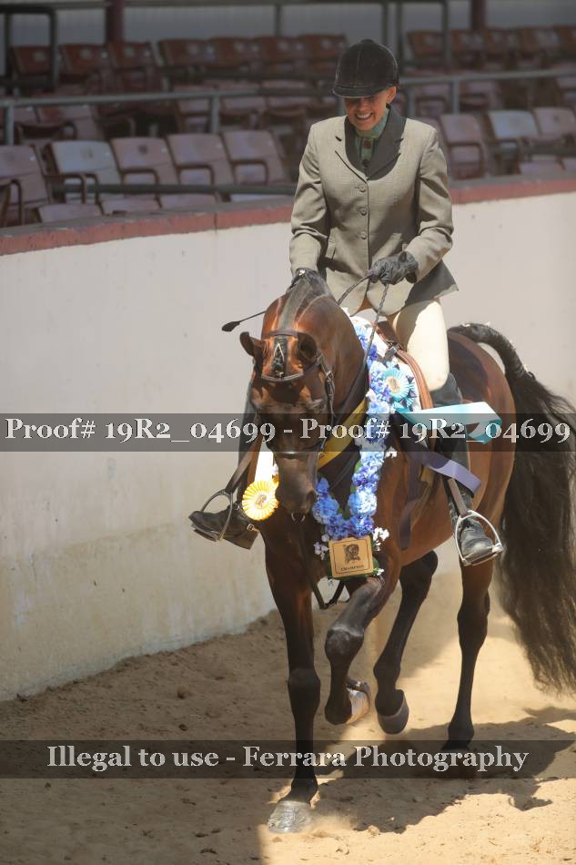 Proof 19R2_04699