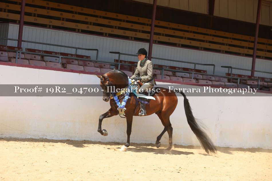 Proof 19R2_04700