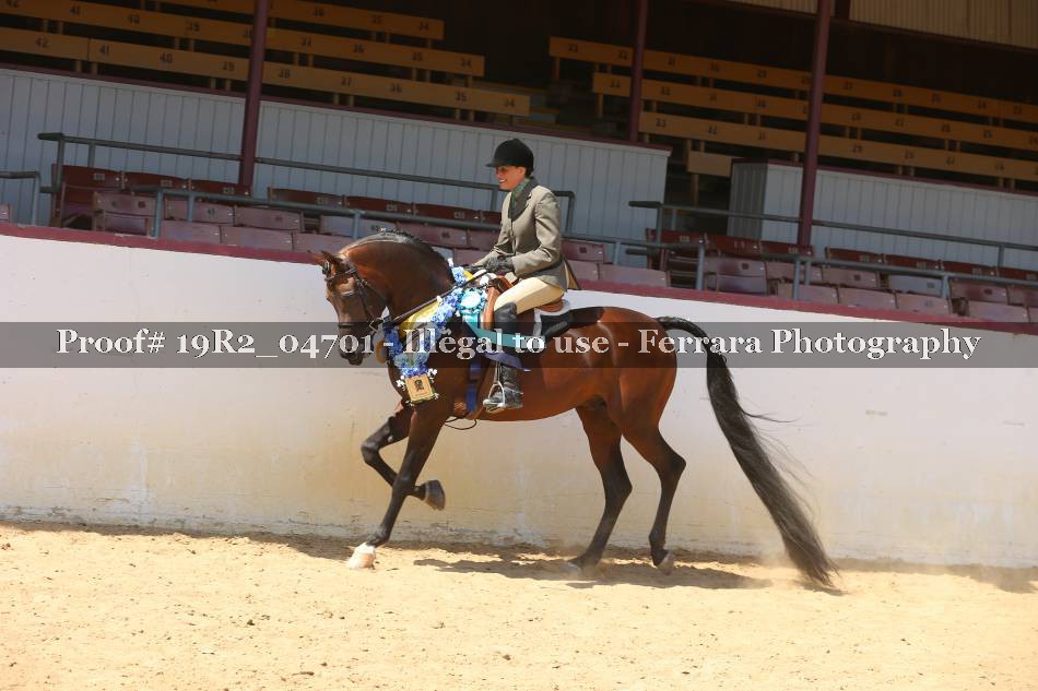 Proof 19R2_04701