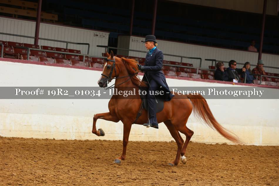 Proof 19R2_01034