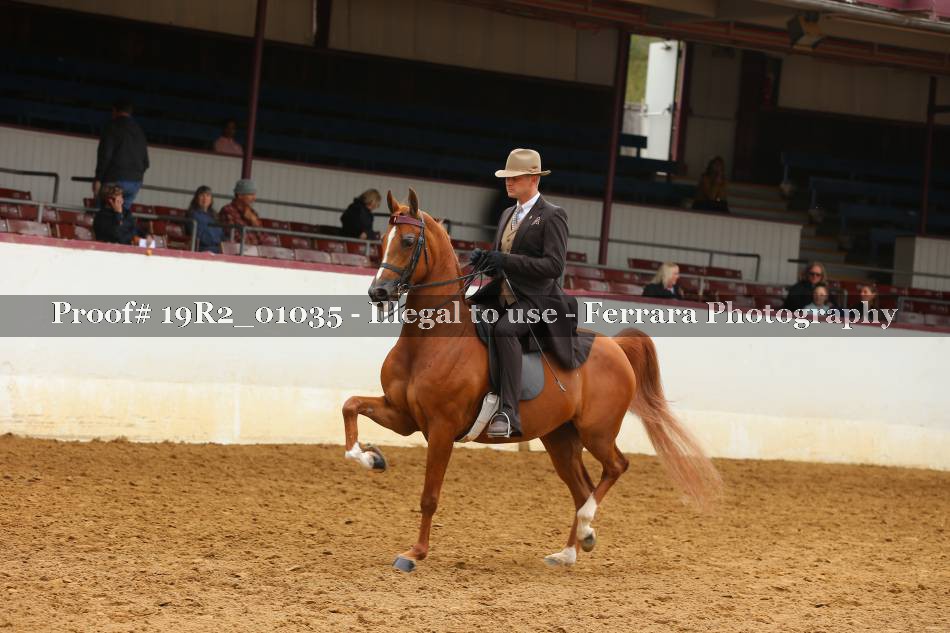 Proof 19R2_01035