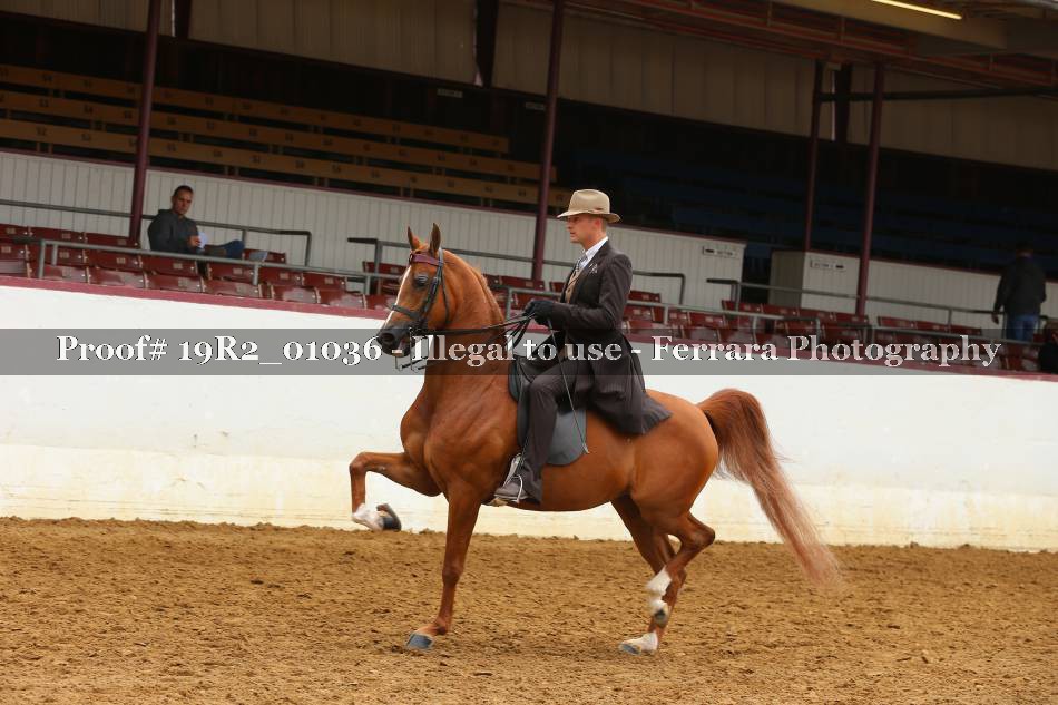 Proof 19R2_01036