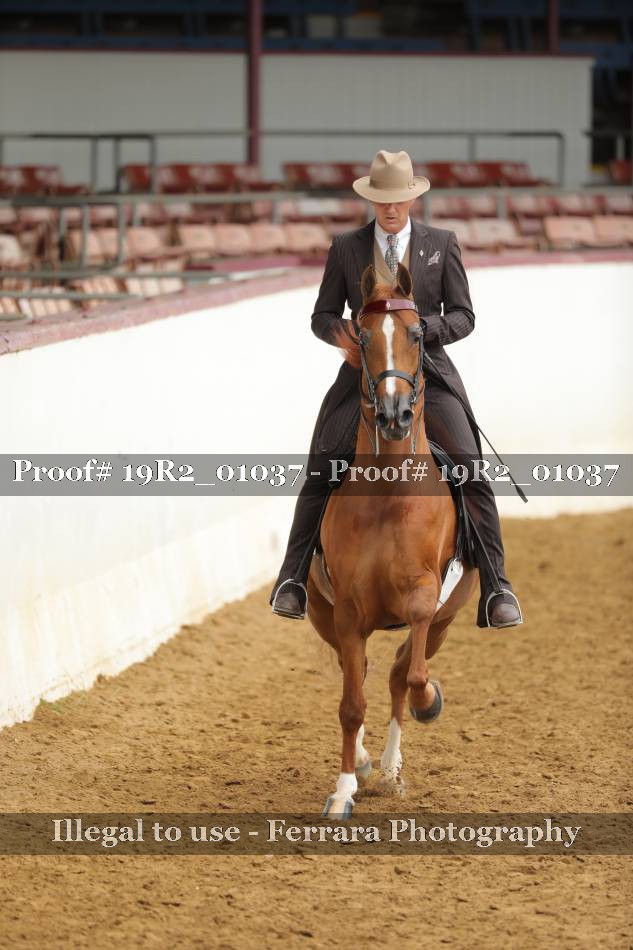 Proof 19R2_01037
