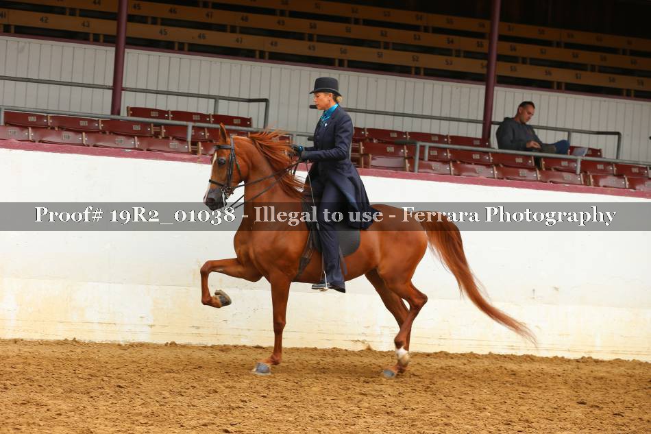 Proof 19R2_01038