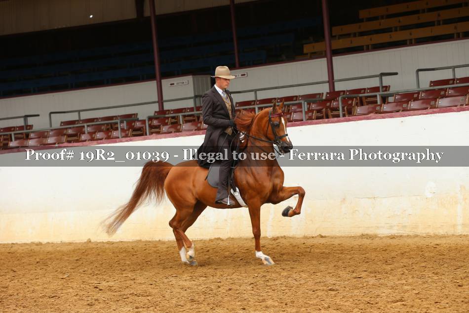 Proof 19R2_01039