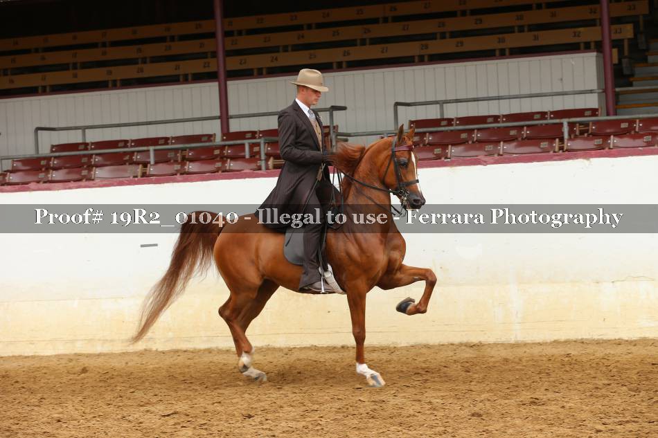 Proof 19R2_01040