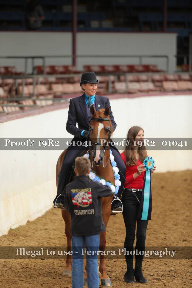 Proof 19R2_01041