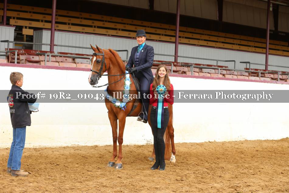 Proof 19R2_01043