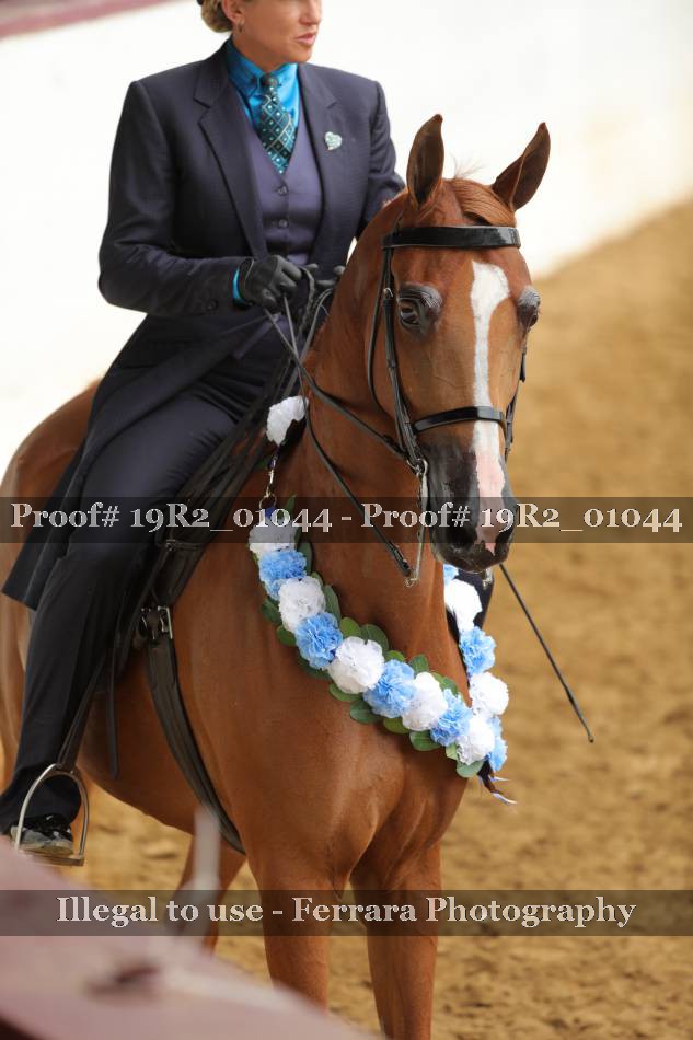 Proof 19R2_01044