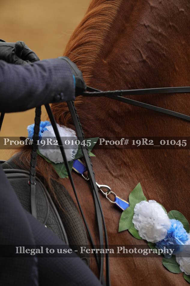 Proof 19R2_01045