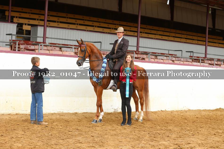 Proof 19R2_01047