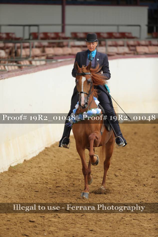 Proof 19R2_01048
