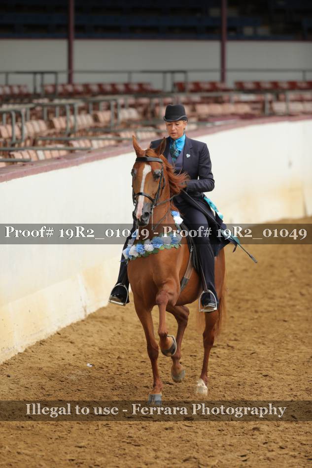 Proof 19R2_01049