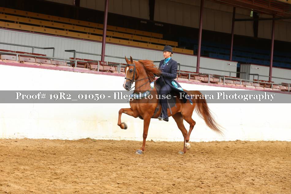 Proof 19R2_01050