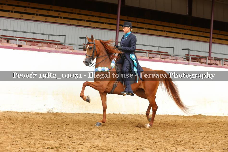 Proof 19R2_01051