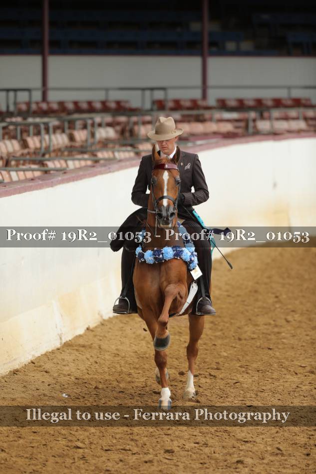 Proof 19R2_01053