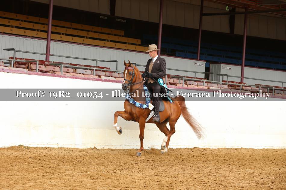 Proof 19R2_01054