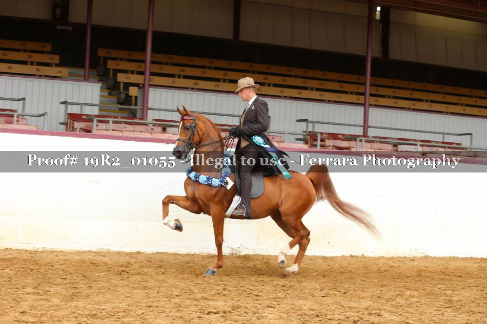 Proof 19R2_01055