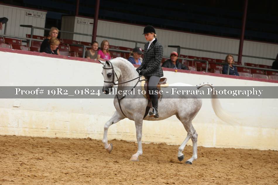 Proof 19R2_01824