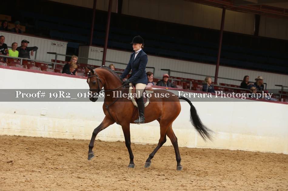 Proof 19R2_01828