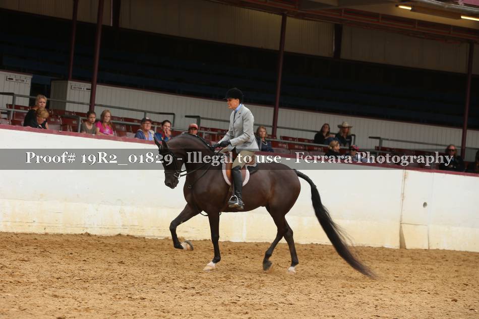 Proof 19R2_01829