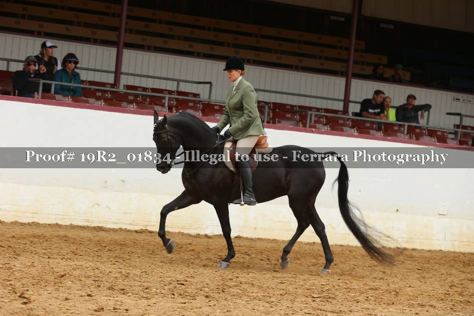 Proof 19R2_01834