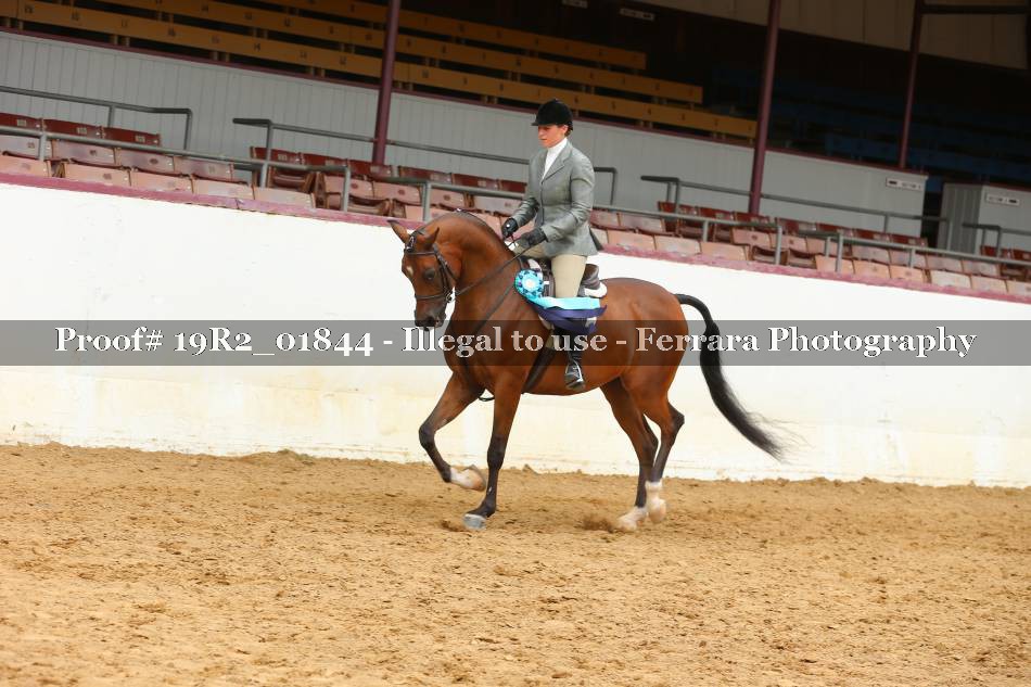 Proof 19R2_01844