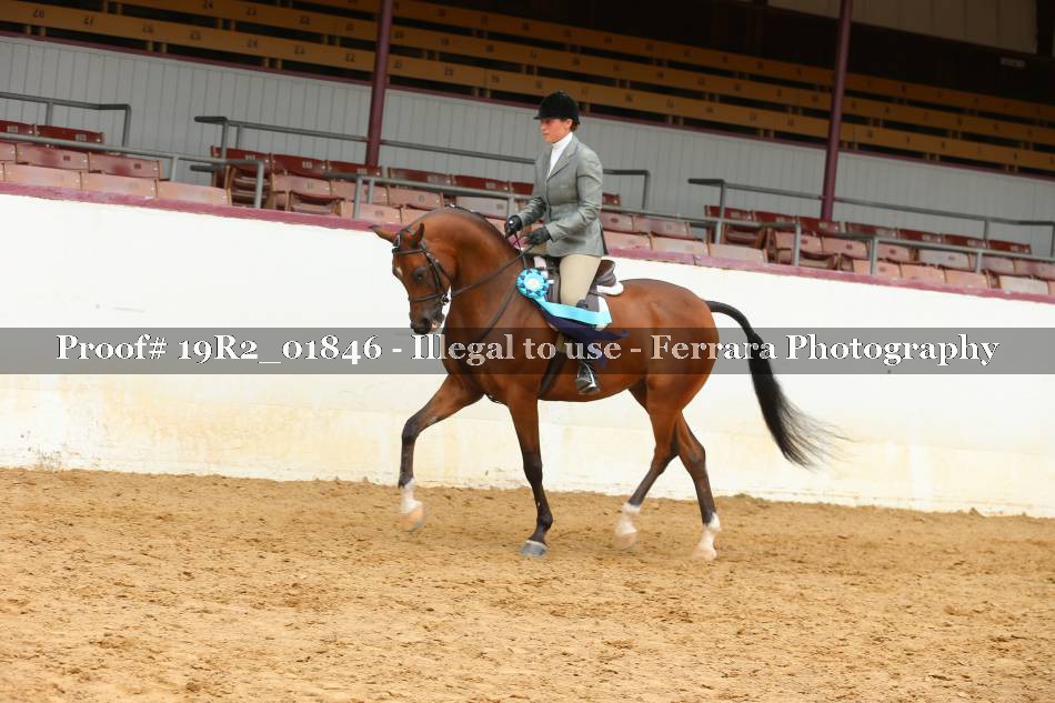 Proof 19R2_01846