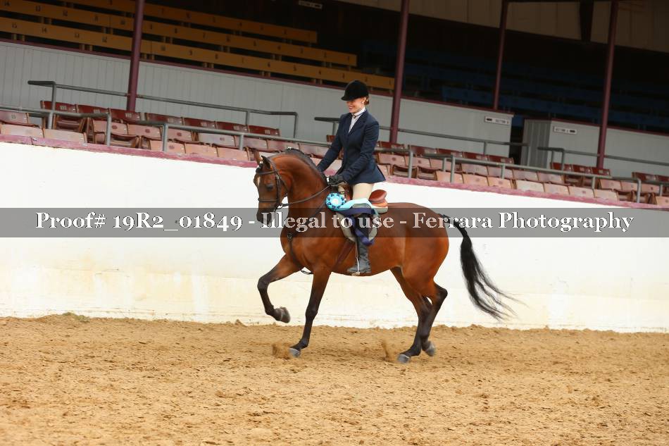 Proof 19R2_01849