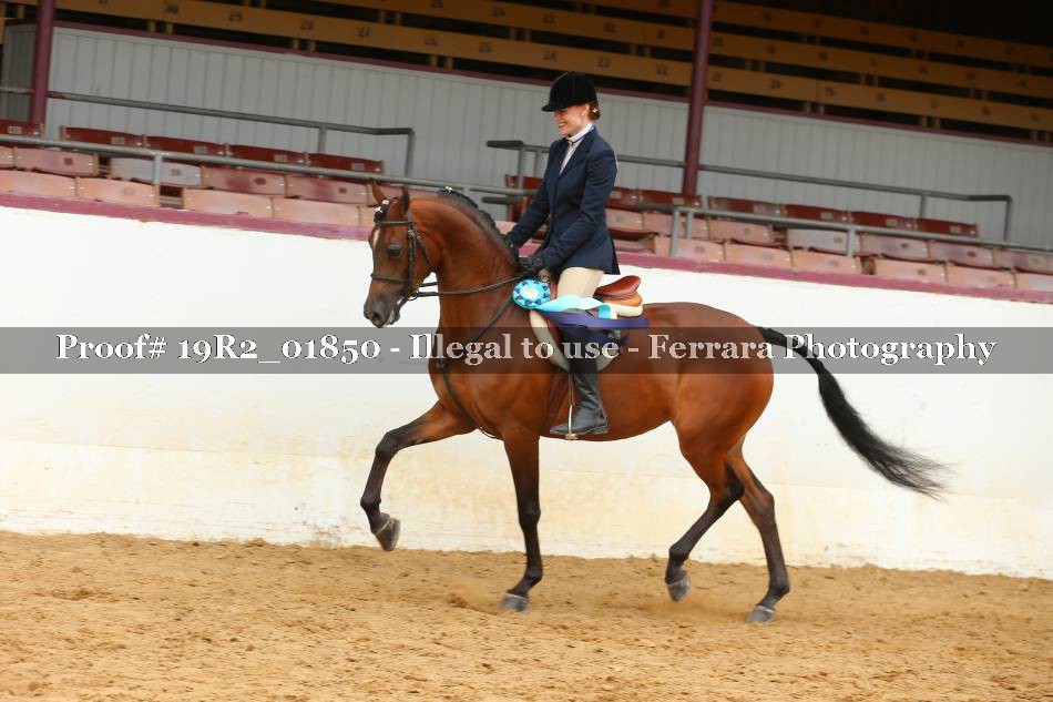 Proof 19R2_01850