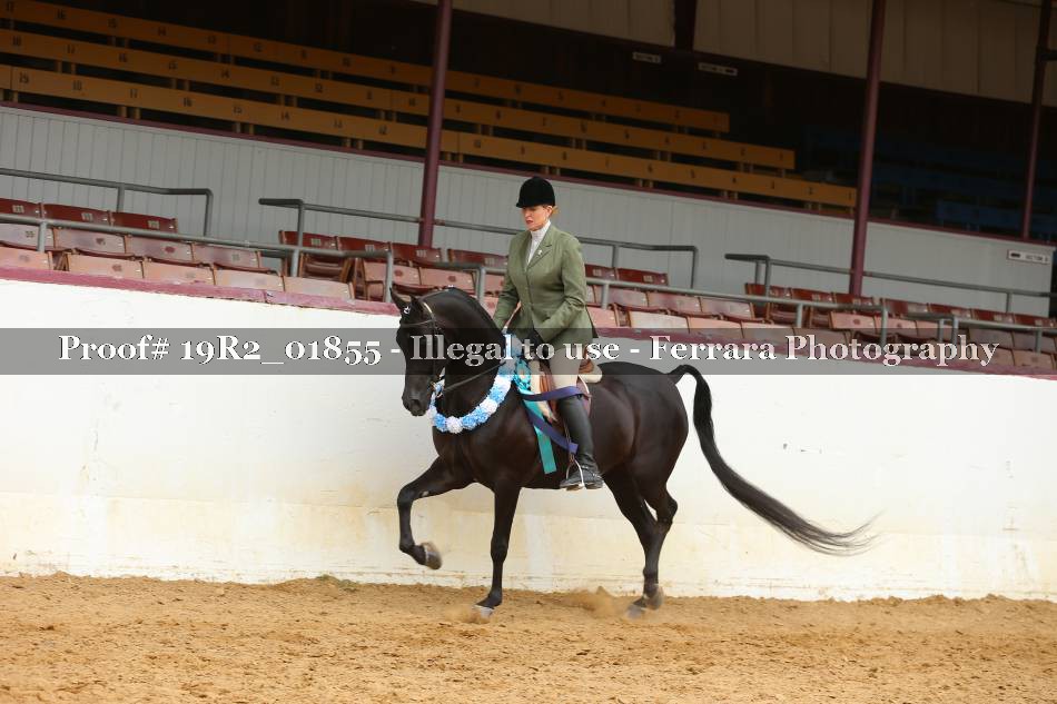 Proof 19R2_01855