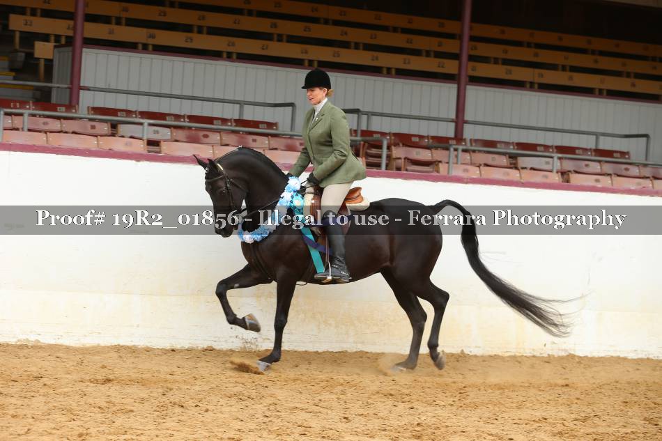 Proof 19R2_01856
