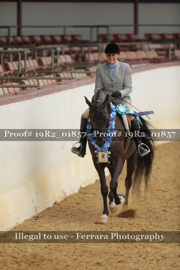 Proof 19R2_01857