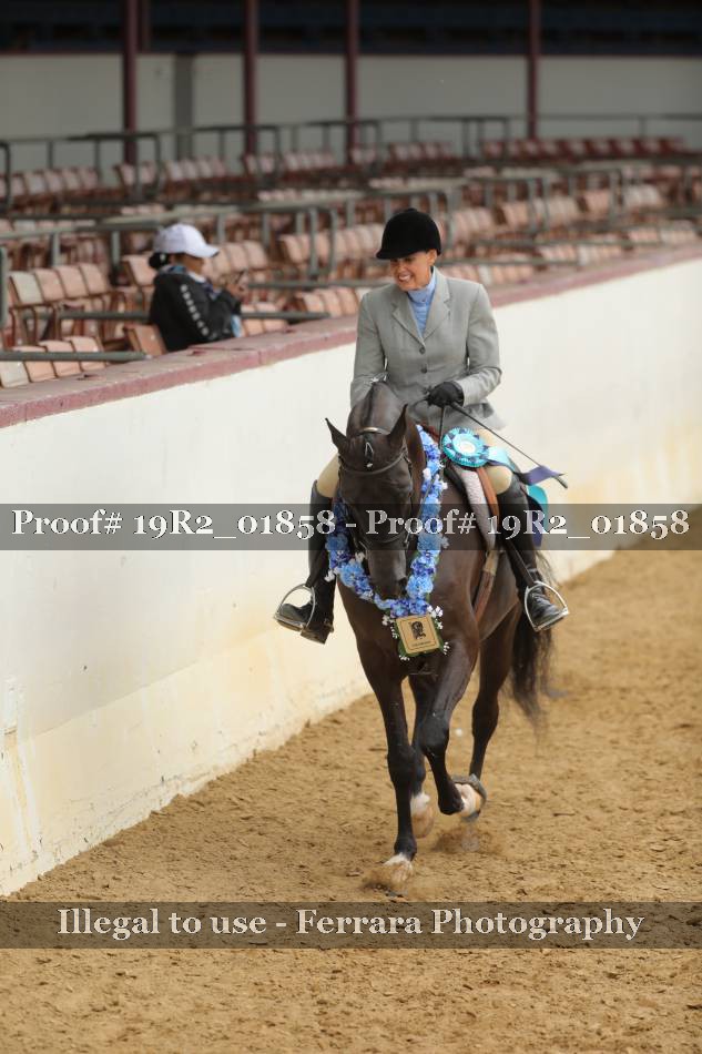 Proof 19R2_01858