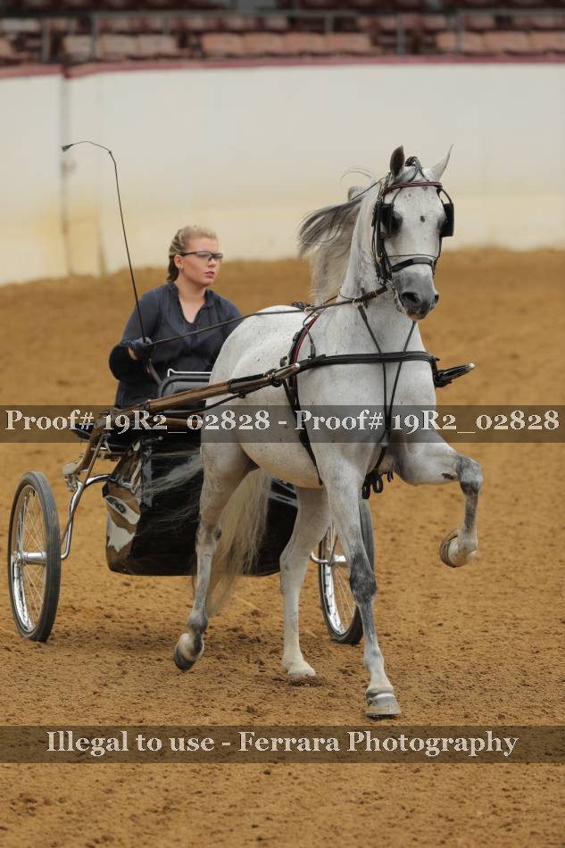 Proof 19R2_02828