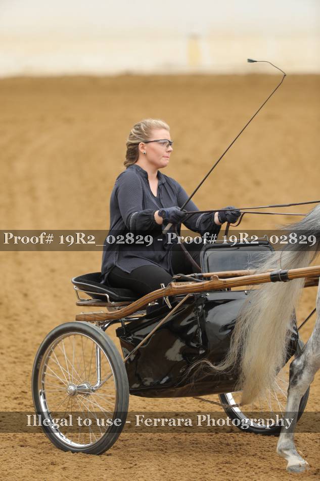Proof 19R2_02829