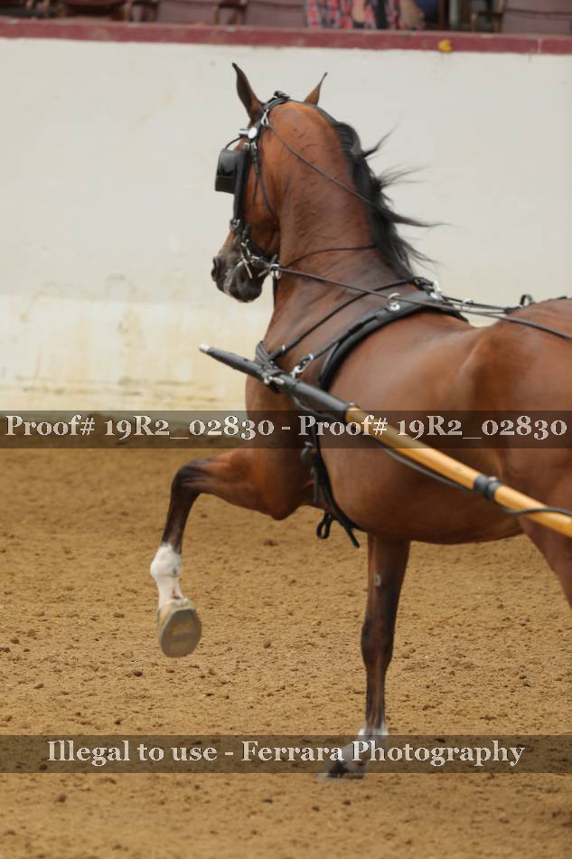 Proof 19R2_02830