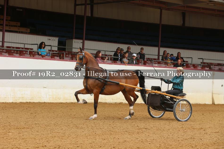 Proof 19R2_02831