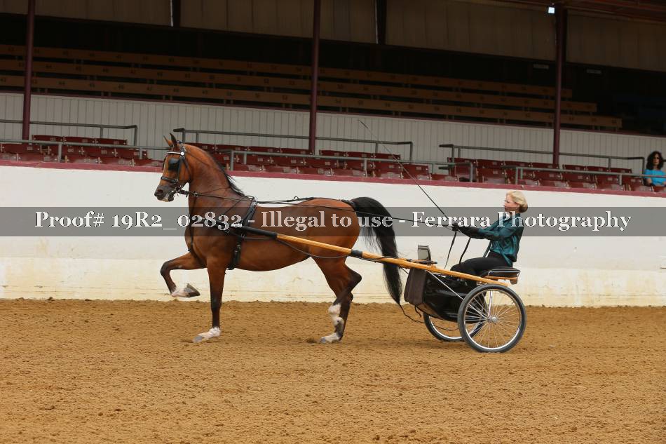Proof 19R2_02832