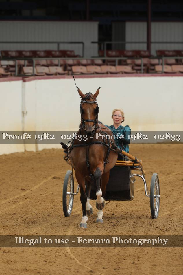 Proof 19R2_02833