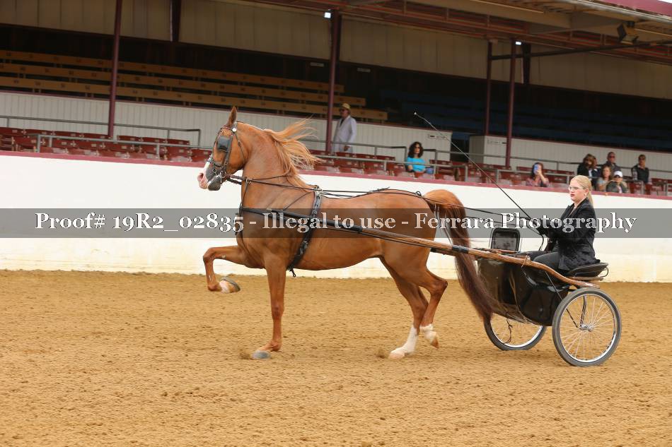 Proof 19R2_02835