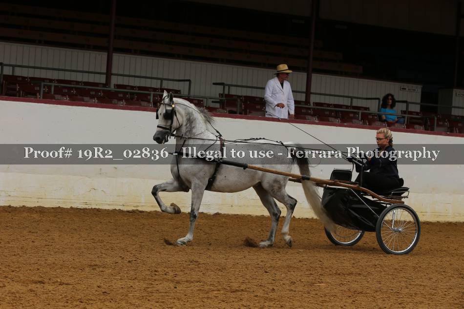 Proof 19R2_02836
