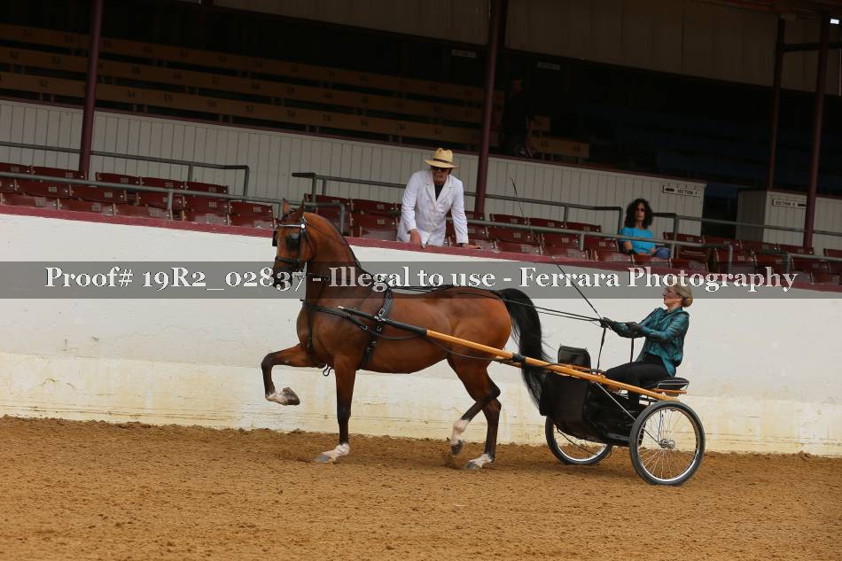 Proof 19R2_02837