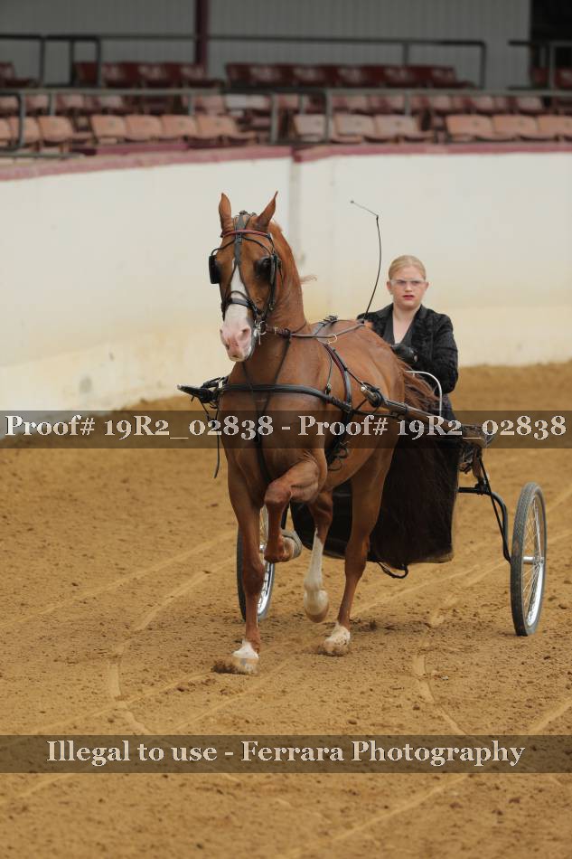 Proof 19R2_02838