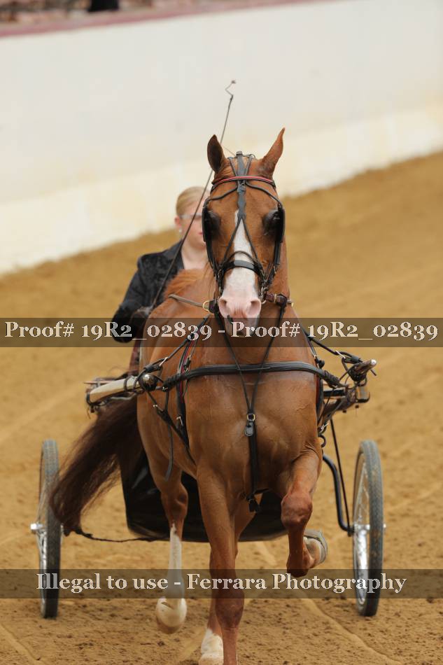 Proof 19R2_02839