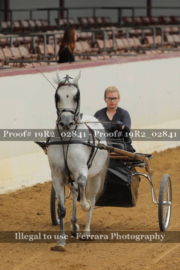 Proof 19R2_02841