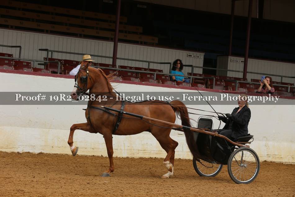 Proof 19R2_02842