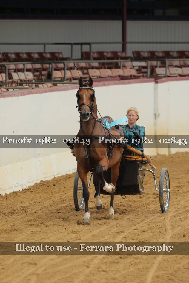 Proof 19R2_02843